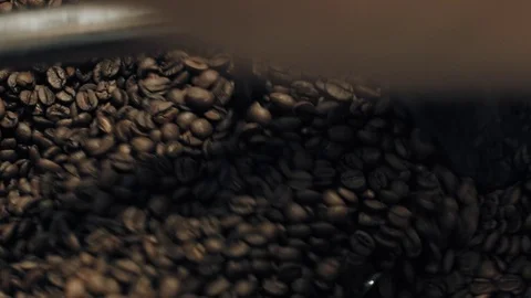 Coffee beans Stock Footage 73290566