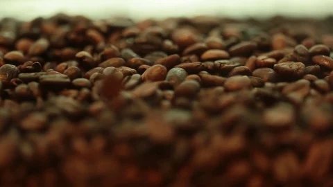 Coffee beans Stock Footage 77048759