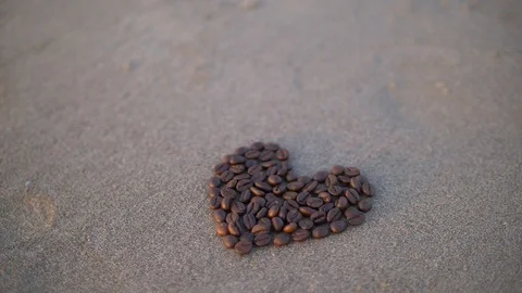 Coffee beans Stock Footage 86359020