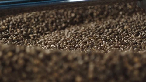 Coffee beans Stock Footage 89968246