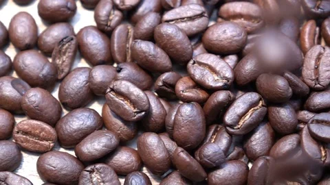 Coffee beans Stock Footage 90625716