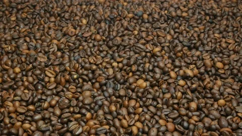 Coffee beans Stock-Footage 108610772