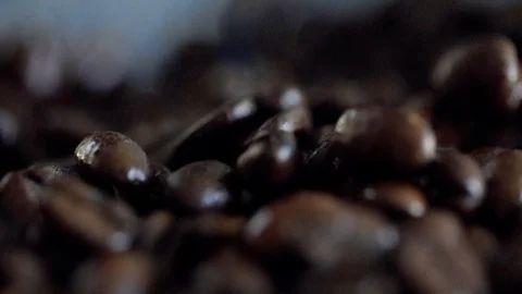Coffee Beans Stock Footage