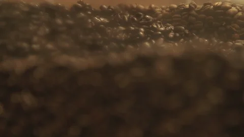 Coffee Beans Stock Footage 118834978