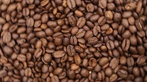 Coffee beans Stock Footage 131264895