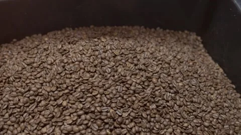 Coffee beans Stock Footage 149028704