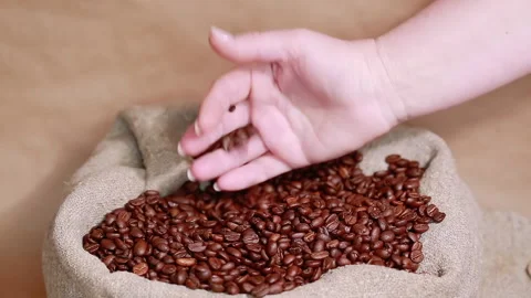 Coffee beans Stock Footage 170120713