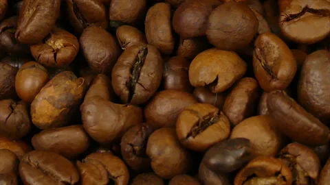 Coffee beans Stock Footage 231871917