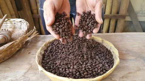 Coffee beans Video stock 263160172