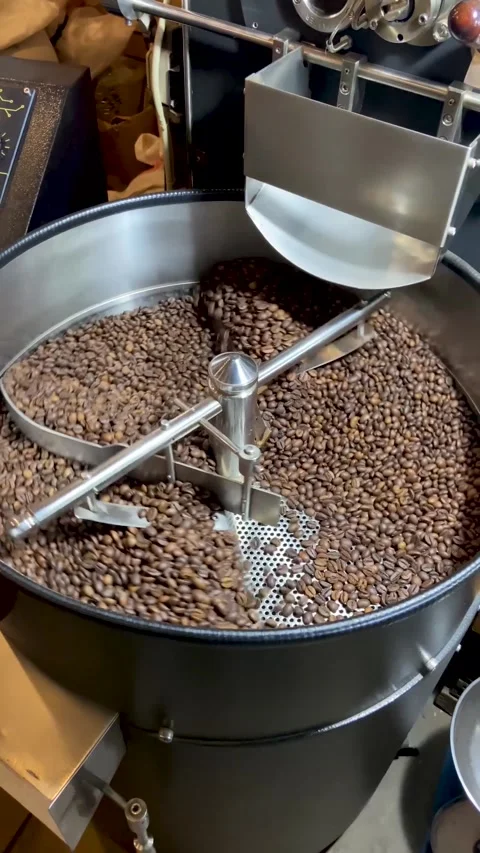 Coffee Beans Stock Footage 266519608