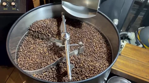 Coffee Beans Stock Footage 266519619