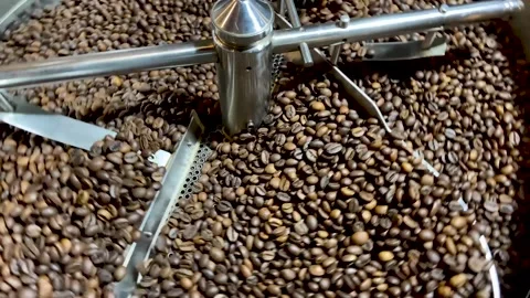 Coffee Beans Stock Footage 266519627