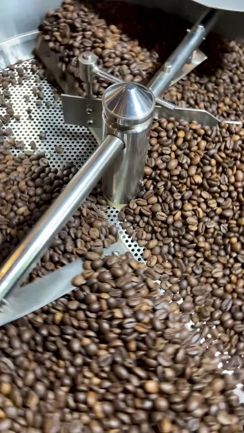 Coffee Beans Stock Footage 266519628