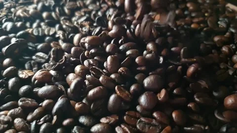 Coffee beans Stock Footage 307722216