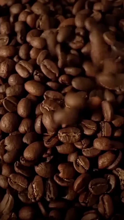 Coffee beans Stock Footage 323941857