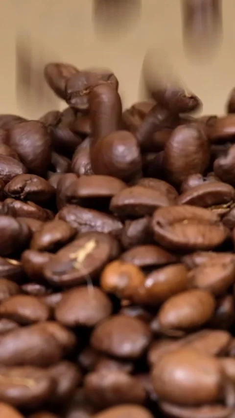 Coffee beans Stock Footage 323941922