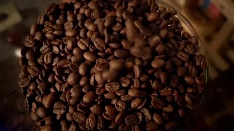 Coffee beans Stock Footage 323941969