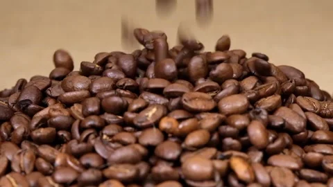 Coffee beans Stock Footage 323941997