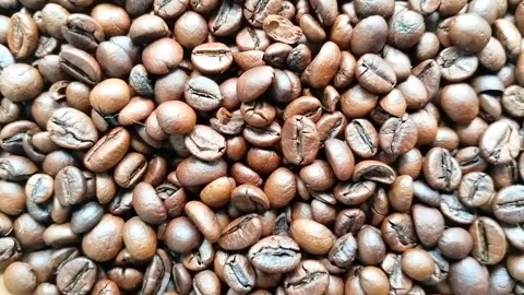 Coffee beans Stock Footage 327005246