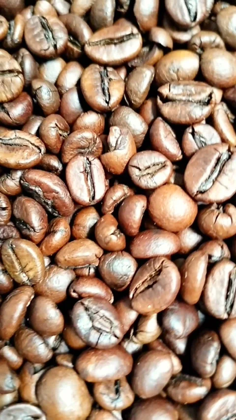 Coffee beans Stock Footage 327072869