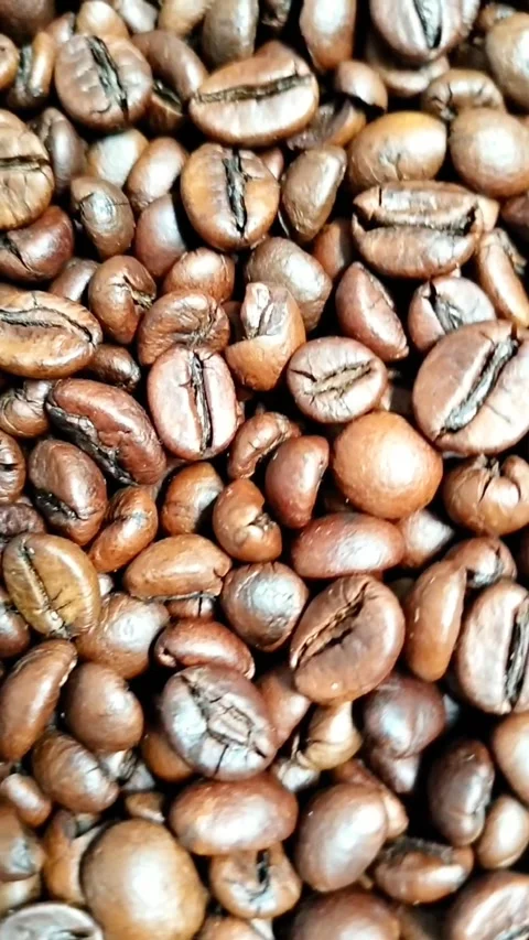Coffee beans Video stock 327073434
