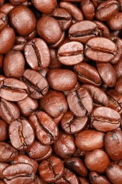 Coffee beans forming a background Stock Photos