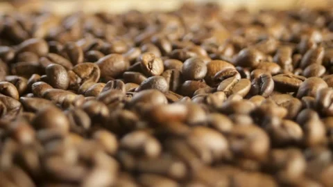 Coffee beans in the frame of the smoothly moving camera. Close-up coffee pattern Stock Footage 316089655