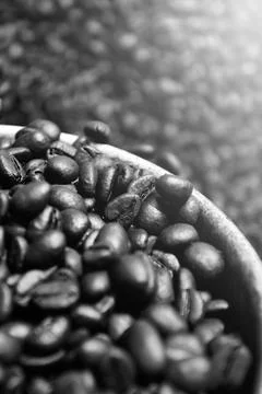 Coffee beans fresh roasted textures. Stock Photos
