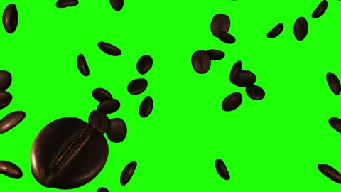 Coffee beans front green Stock Footage 166428187