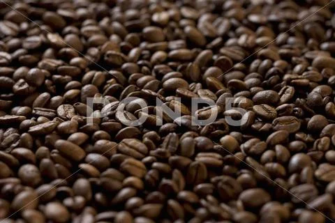 Coffee Beans (Full-Frame)