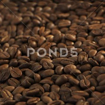 Coffee Beans (Full-Frame)