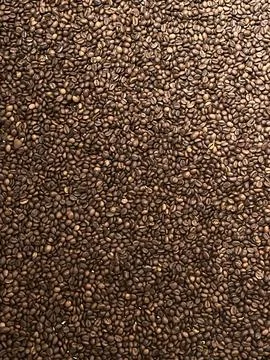 Coffee beans, full frame, top view. Texture with coffee beans. Stock Photos