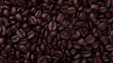 Coffee beans general plan Stock Photos