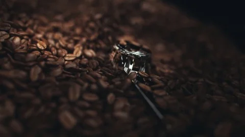 Coffee beans in the grinder Stock Footage 72496124