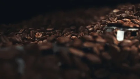 Coffee beans in the grinder Stock Footage