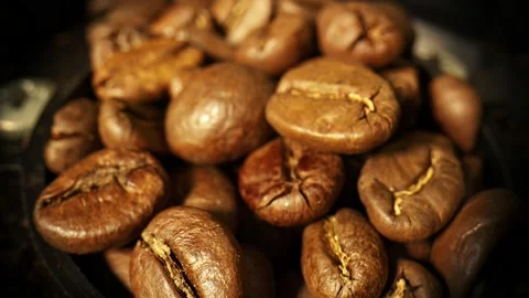 Coffee Beans In Grinder Stock Footage 169804300