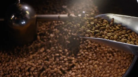 Coffee beans in the grinder. high quality videos of coffee beans in the grinder Video stock 129310274