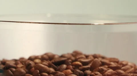 Coffee Beans in a Grinder Hopper descend as the Machine Grinds Stock Footage 61404354