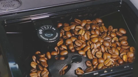Coffee Beans Grinding in an Espresso Machine Beans Container Stock Footage 127083911