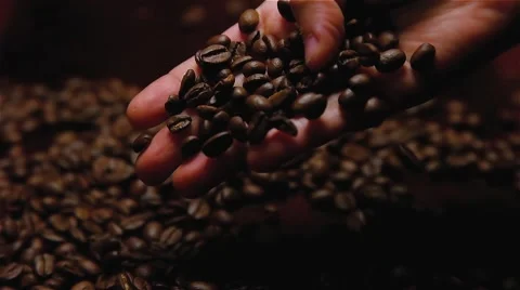 Coffee Beans In Hand Stock Footage 67722758
