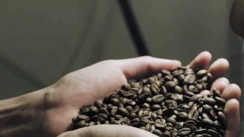 Coffee beans in hand Stock Footage 73290531