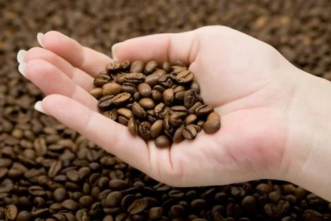 Coffee Beans in Hand Stock Photos