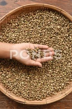Coffee beans on hand Stock Photos