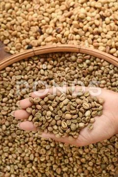 Coffee beans on hand Stock Photos
