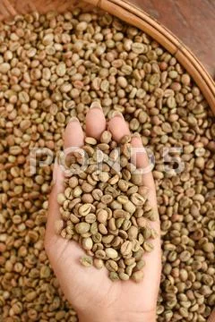 Coffee beans on hand Stock Photos
