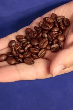 Coffee beans in hand Stock Photos