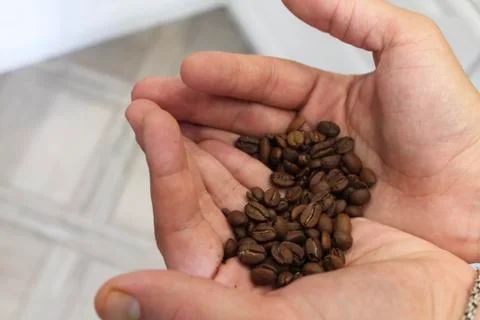 Coffee beans in hand Stock Photos
