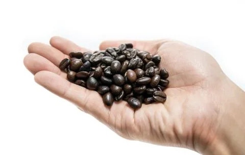 Coffee beans in hand  on white background Stock Photos