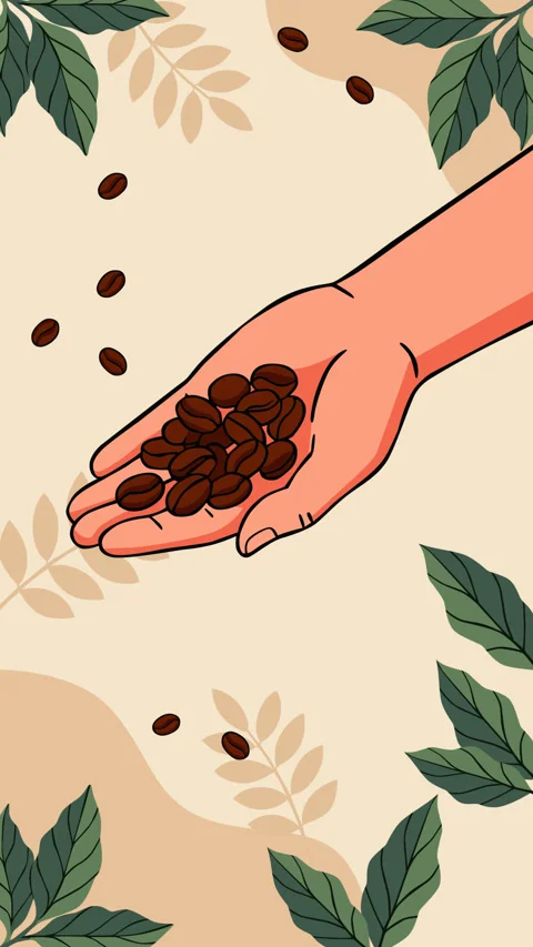Coffee Beans in Hands Animated Background for International Coffee Day 库存影片 344617905