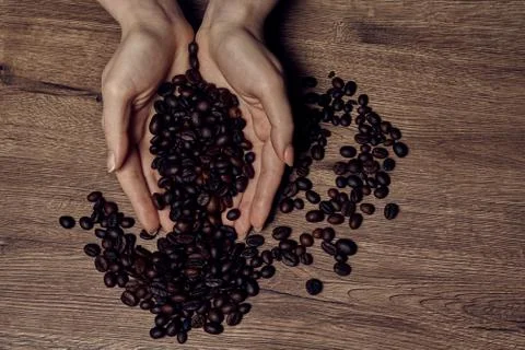 Coffee beans in hands on dark background Stock-Fotos